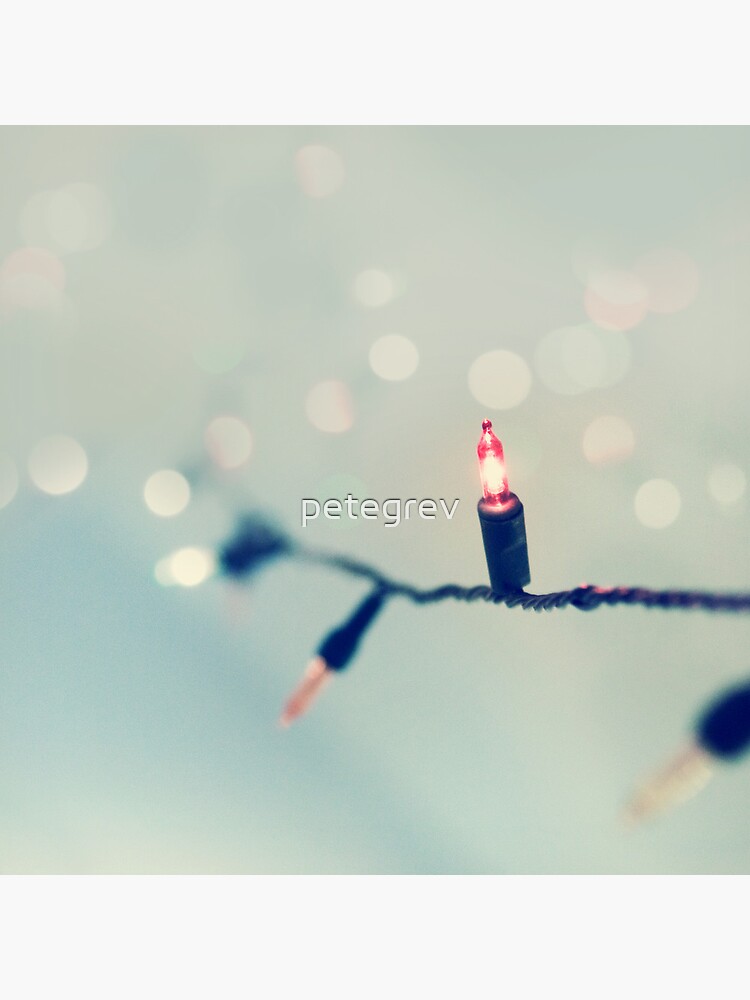 Day 156 - 13th December 2011 by petegrev