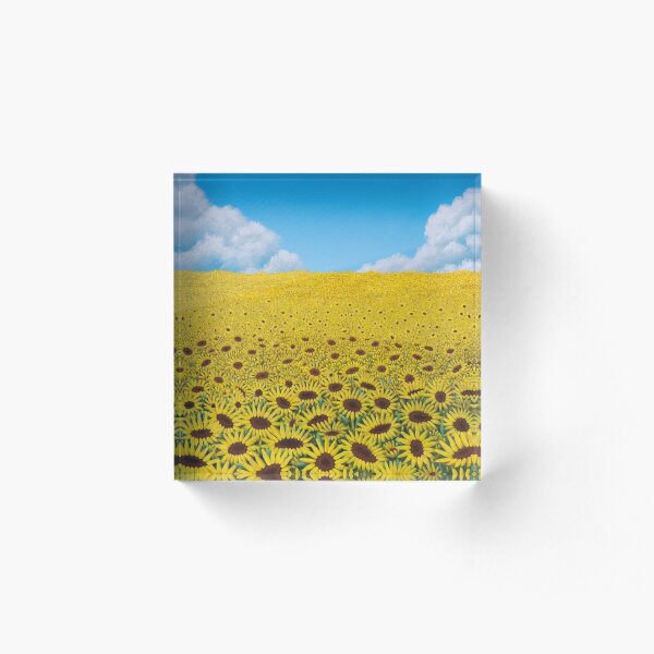 Illusions Acrylic Block