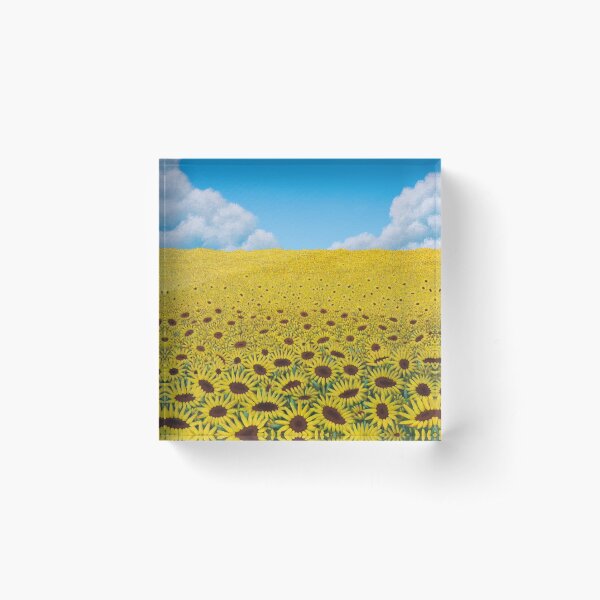 Illusions Acrylic Block