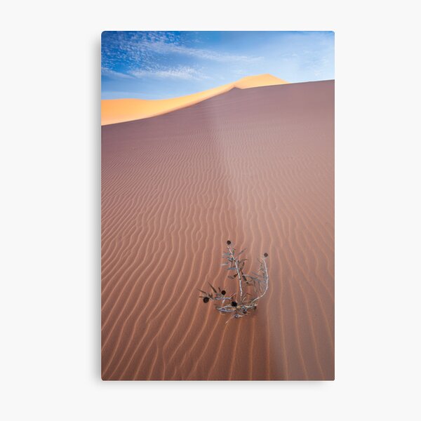 Item preview, Coral Pink Dunes designed and sold by Rob Lodge.