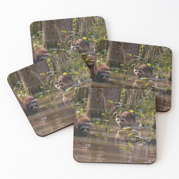 Item preview, Raccoons on the Louisiana Bayou designed and sold by SafariByMarisa.
