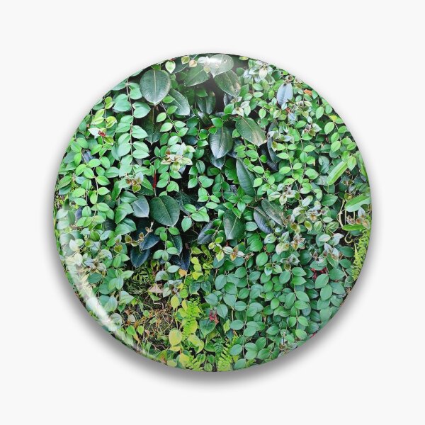 Item preview, BHM Living Wall Study 6  designed and sold by Robert Meyers-Lussier.