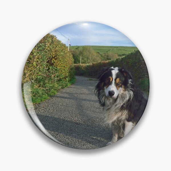 Item preview, Laddie Awaits. designed and sold by Michael Haslam.
