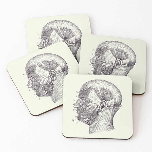 Item preview, Human Skull Muscular Diagram - Vintage Anatomy Poster 2 designed and sold by VAposters.