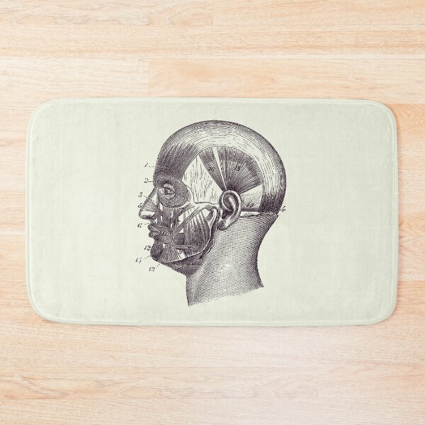 Item preview, Human Skull Muscular Diagram - Vintage Anatomy Poster 2 designed and sold by VAposters.