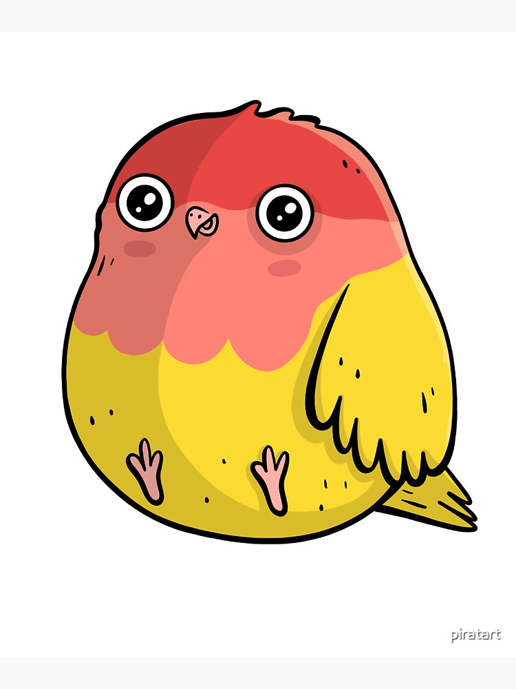 Cute Lutino Lovebird Chubby Bird Design by piratart