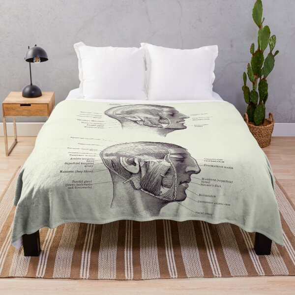 Item preview, Face Muscular Diagram - Dual Side View - Vintage Print 2 designed and sold by VAposters.