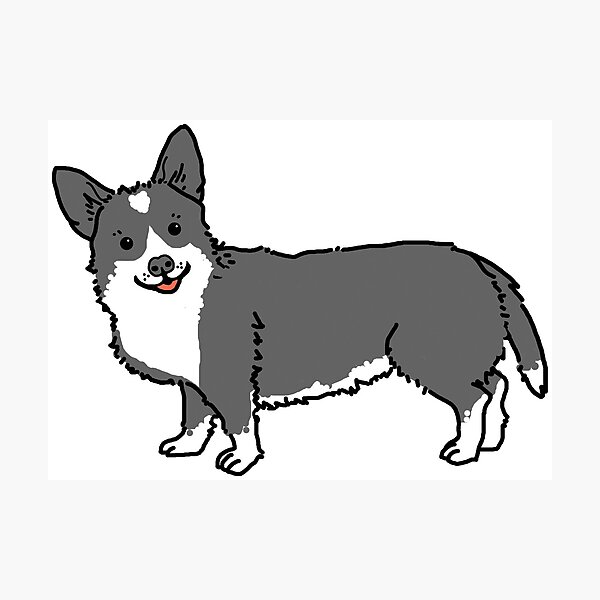 Decoracion Corgi Negro Redbubble