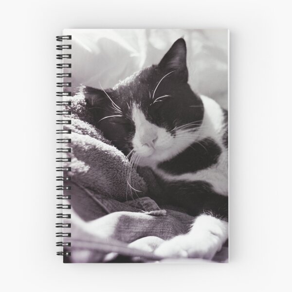 Item preview, Cat at ease designed and sold by Benjamin Fauvel.