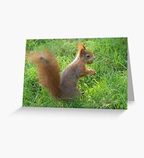 Nut-tastic! Greeting Card