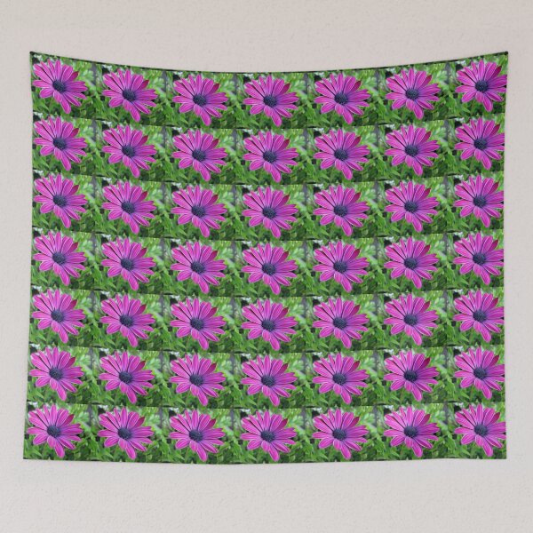 Item preview, Deep Pink Cape Daisy Soaking up the Sunshine designed and sold by BlueMoonRose.