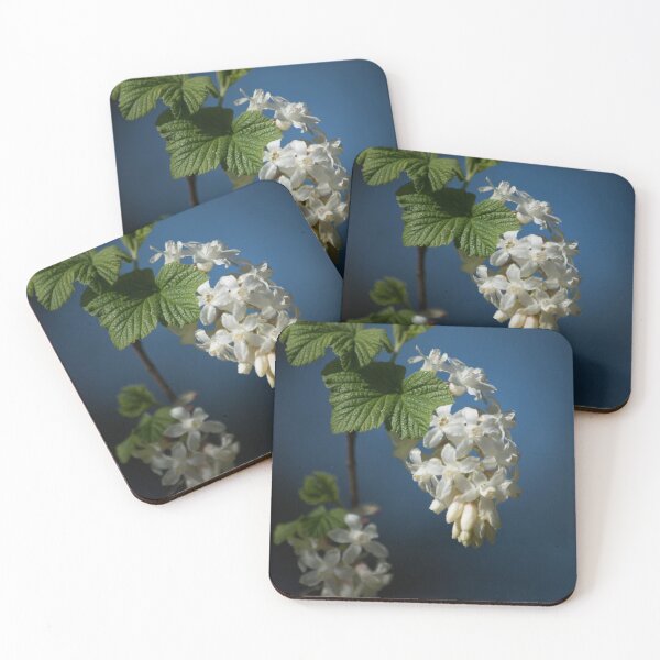 Item preview, Understated Luminary      White Flowering Currant Bloom designed and sold by nancyjcreates.