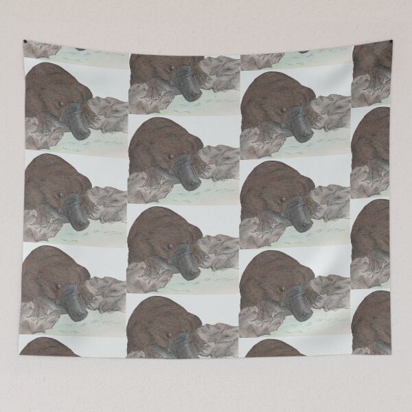 Item preview, Little Aussie Platypus designed and sold by AussieLogic.