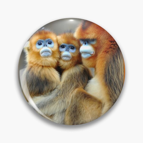 Item preview, monkey hug designed and sold by AlfordsStore.