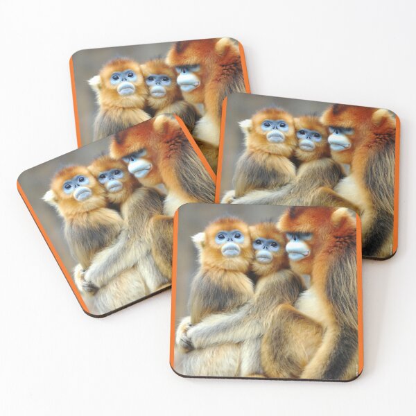 Item preview, monkey hug designed and sold by AlfordsStore.