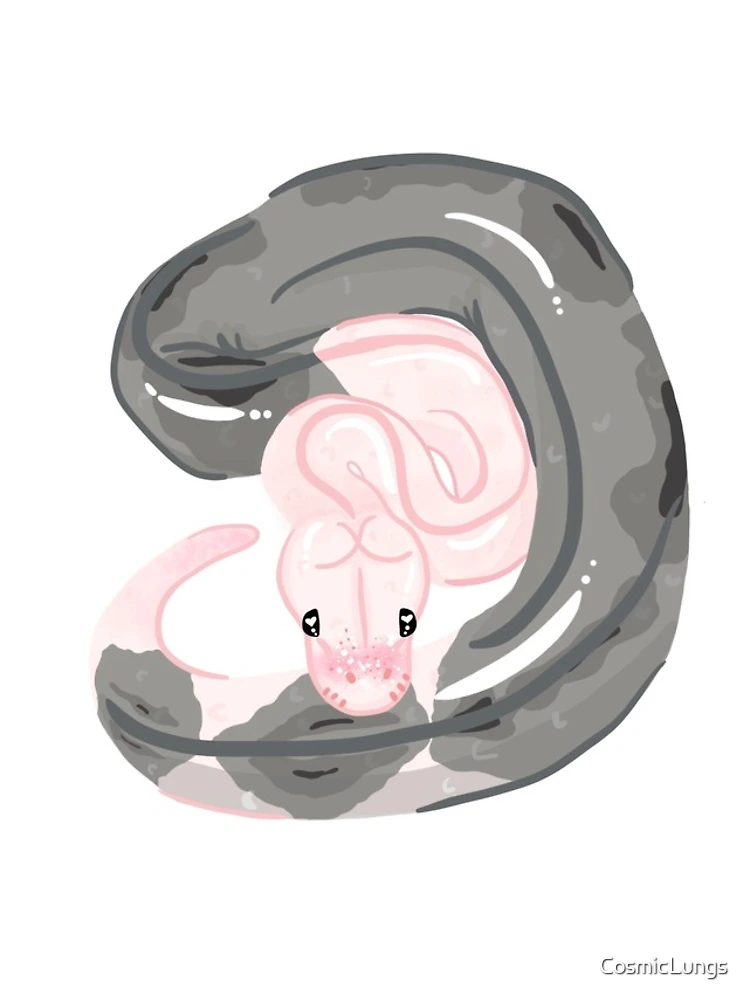 Thumbnail 5 of 5, iPhone Case, Ball Python Sticker designed and sold by CosmicLungs.