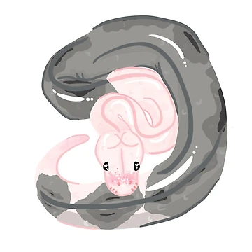 Artwork thumbnail, Ball Python Sticker by CosmicLungs