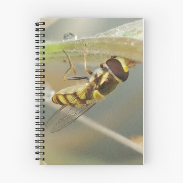 Item preview, Hover Fly designed and sold by Paul Chubb.