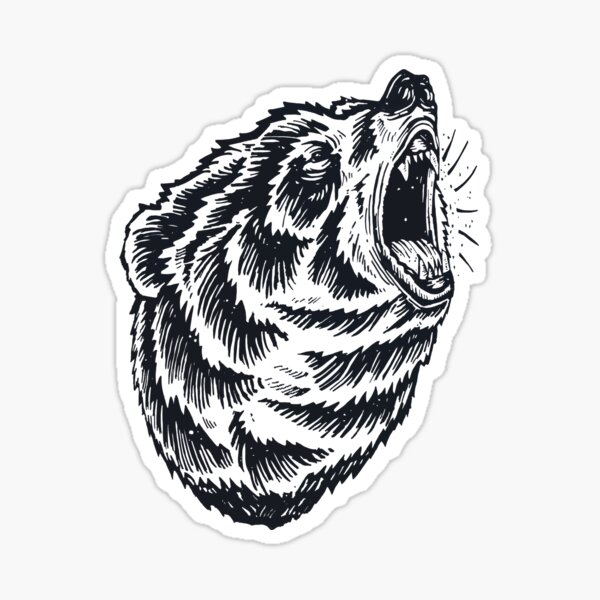 how to draw a bruins bears｜TikTok Search