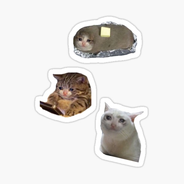 Crying Cats Stickers Redbubble