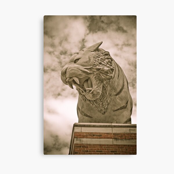 Detroit Tiger Canvas Print