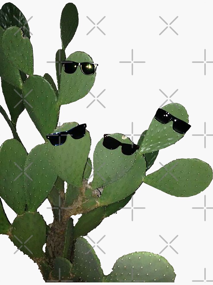 &ldquo;Cactus Wearing Sunglasses Image&rdquo; Sticker by GiltchHorror | Redbubble