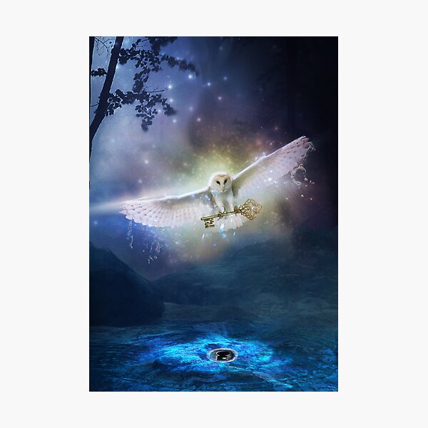 Photographic Print