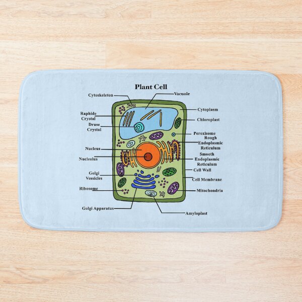 Item preview, Labeled Plant Cell Diagram designed and sold by BundaBear.
