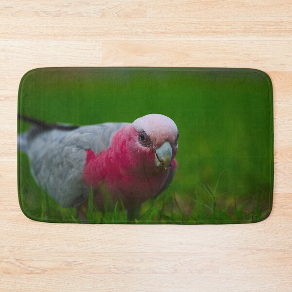 Item preview, A Closeup Of A Pink And Grey Galah Cracking A Sunflower Seed designed and sold by Jason Gilbert.