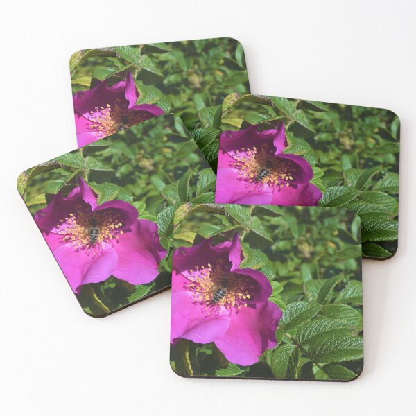 Item preview,  wild rose with bee designed and sold by AidaArt.