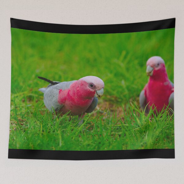 Item preview, A Pair Of Cheeky Galahs designed and sold by Jason Gilbert.