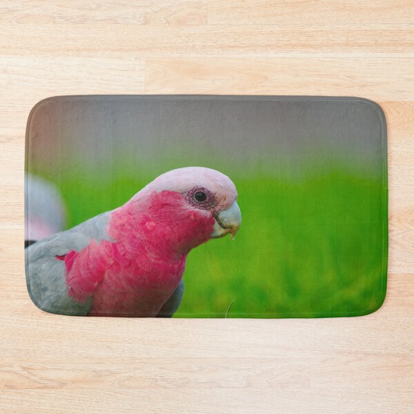 Item preview, A Profile Shot Of A Pink And Grey Galah designed and sold by Jason Gilbert.