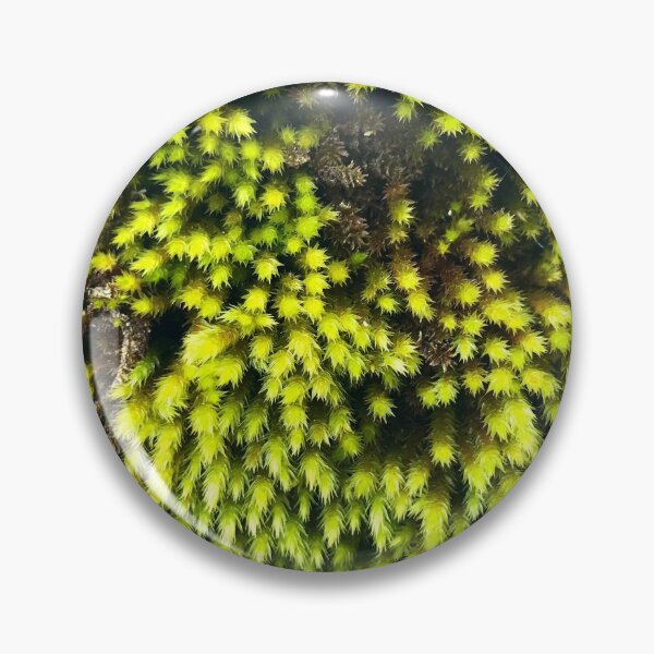 Item preview, Complex moss designed and sold by lucielitchi.