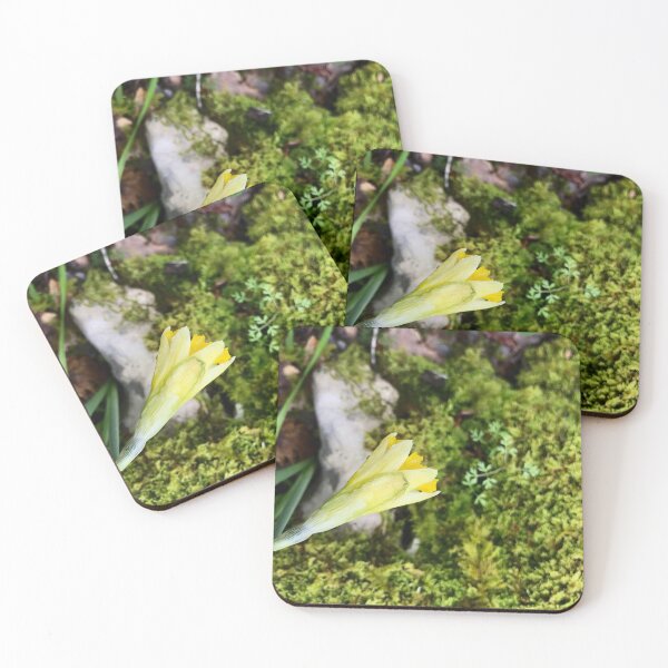 Item preview, Harmony between moss and daffodil designed and sold by lucielitchi.