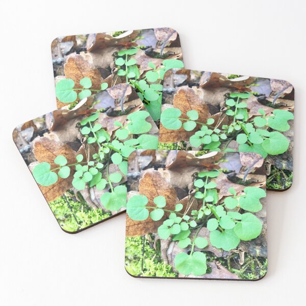 Item preview, Green tears designed and sold by lucielitchi.