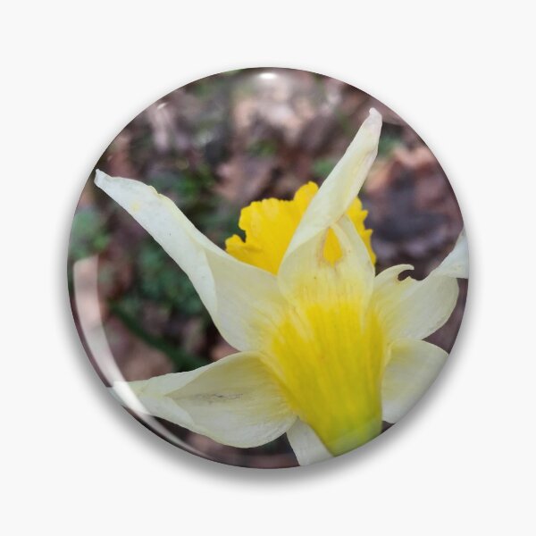 Item preview, Pierced daffodil designed and sold by lucielitchi.