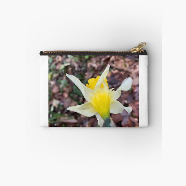Item preview, Pierced daffodil designed and sold by lucielitchi.