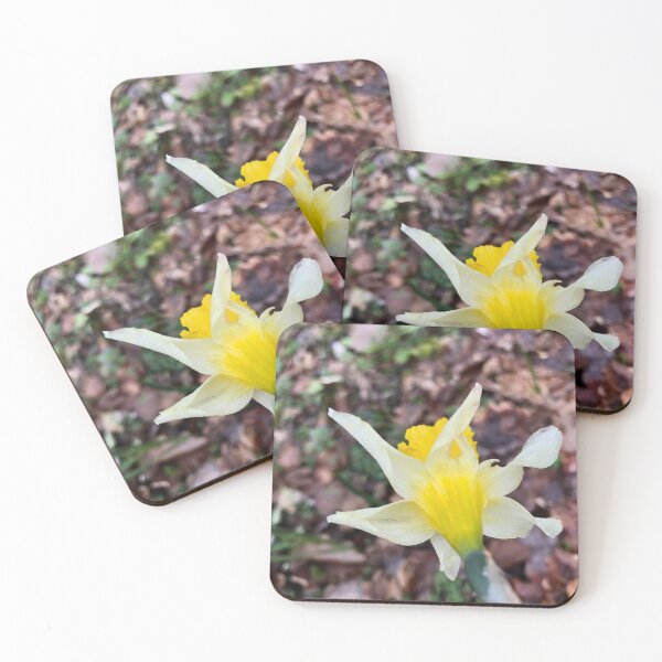 Item preview, Pierced daffodil designed and sold by lucielitchi.