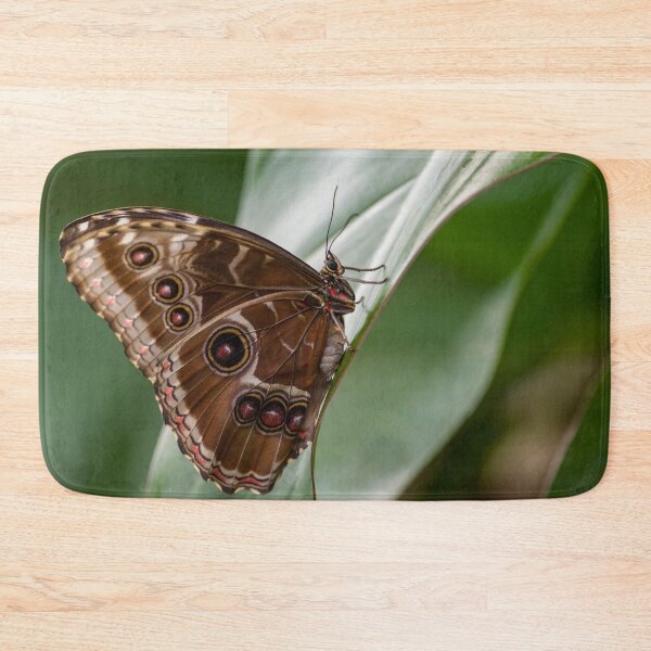 Item preview, Brown Butterfly designed and sold by iCimages.net.