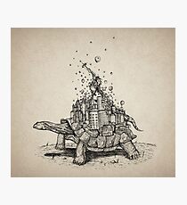 Tortoise Town Photographic Print