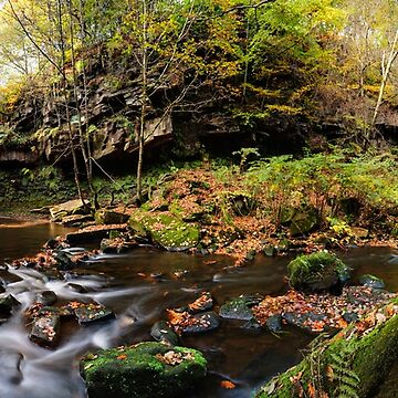 Artwork thumbnail, Goitstock Wood by Simon Bowen