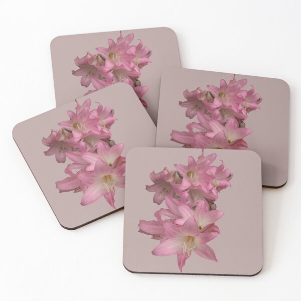 Item preview, Nature, Flora, Flower, Pink, Europe, Portugal, Azores, Island, Photography, BebiCervin designed and sold by BebiCervin.