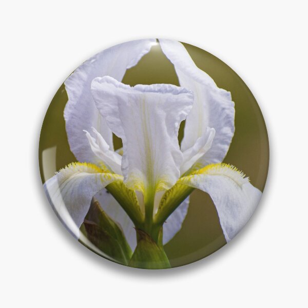 Item preview, White Bearded Iris designed and sold by maryannaga.