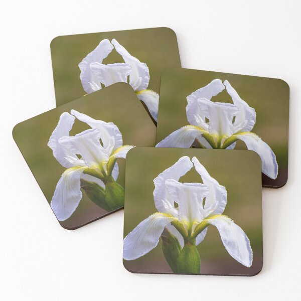 Item preview, White Bearded Iris designed and sold by maryannaga.