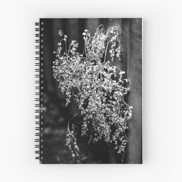 Item preview, Undecided  designed and sold by Jodie Cooper.