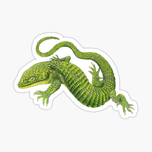 Item preview, Mexican Alligator Lizard designed and sold by TimJeffsArt.