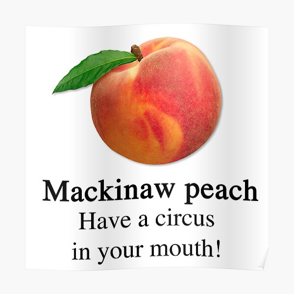 "The mackinaw peach" Poster for Sale by Beshbazo Redbubble