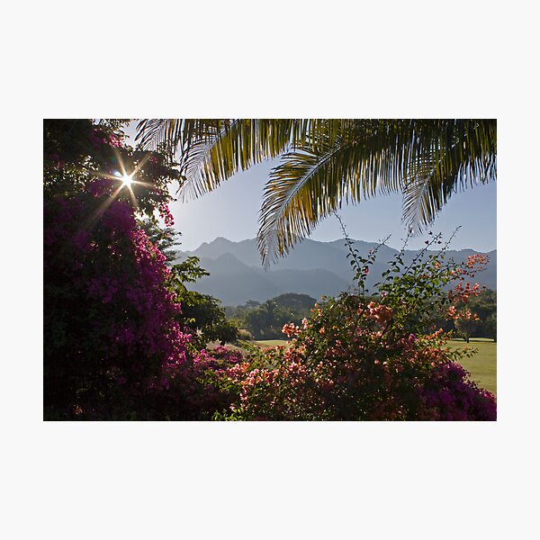 Item preview, Puerto Vallarta, Mexico designed and sold by Alison Simpson.