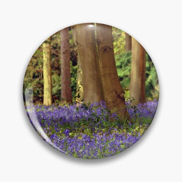 Item preview, Bluebell Woods Basildon Park Reading designed and sold by AndyEvansPhotos.