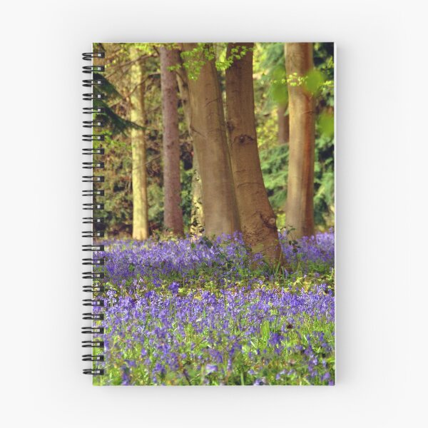 Item preview, Bluebell Woods Basildon Park Reading designed and sold by AndyEvansPhotos.